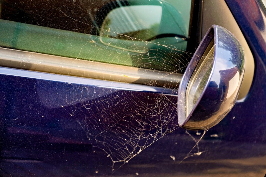A spider web on a car