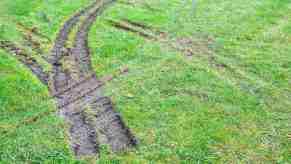Truck tracks left in the grass of a golf course during a police chase.