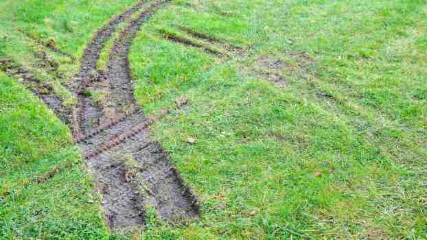 Truck tracks left in the grass of a golf course during a police chase.