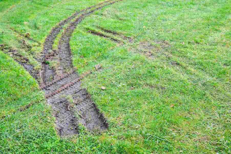 Truck tracks left in the grass of a golf course during a police chase.