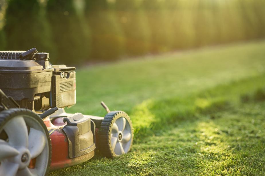 A push-style lawn mower cutting grass in close right rear angle view