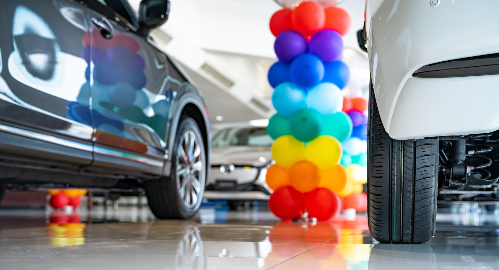A used car dealership showroom in close low view