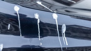 Bird poop on a car