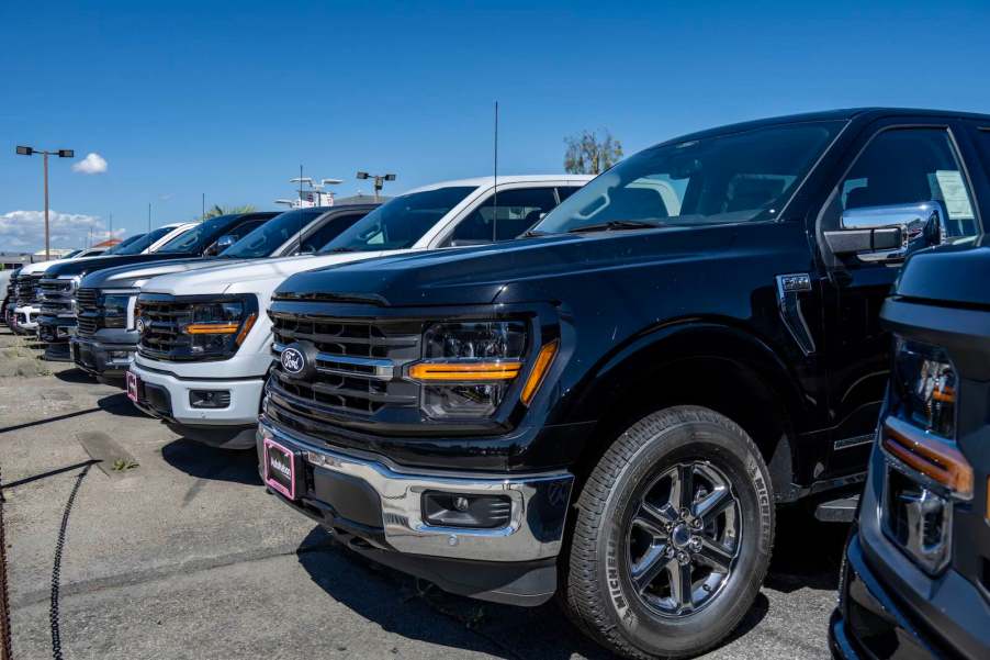 Rows of Ford F-150 pickup trucks at a dealership lot.