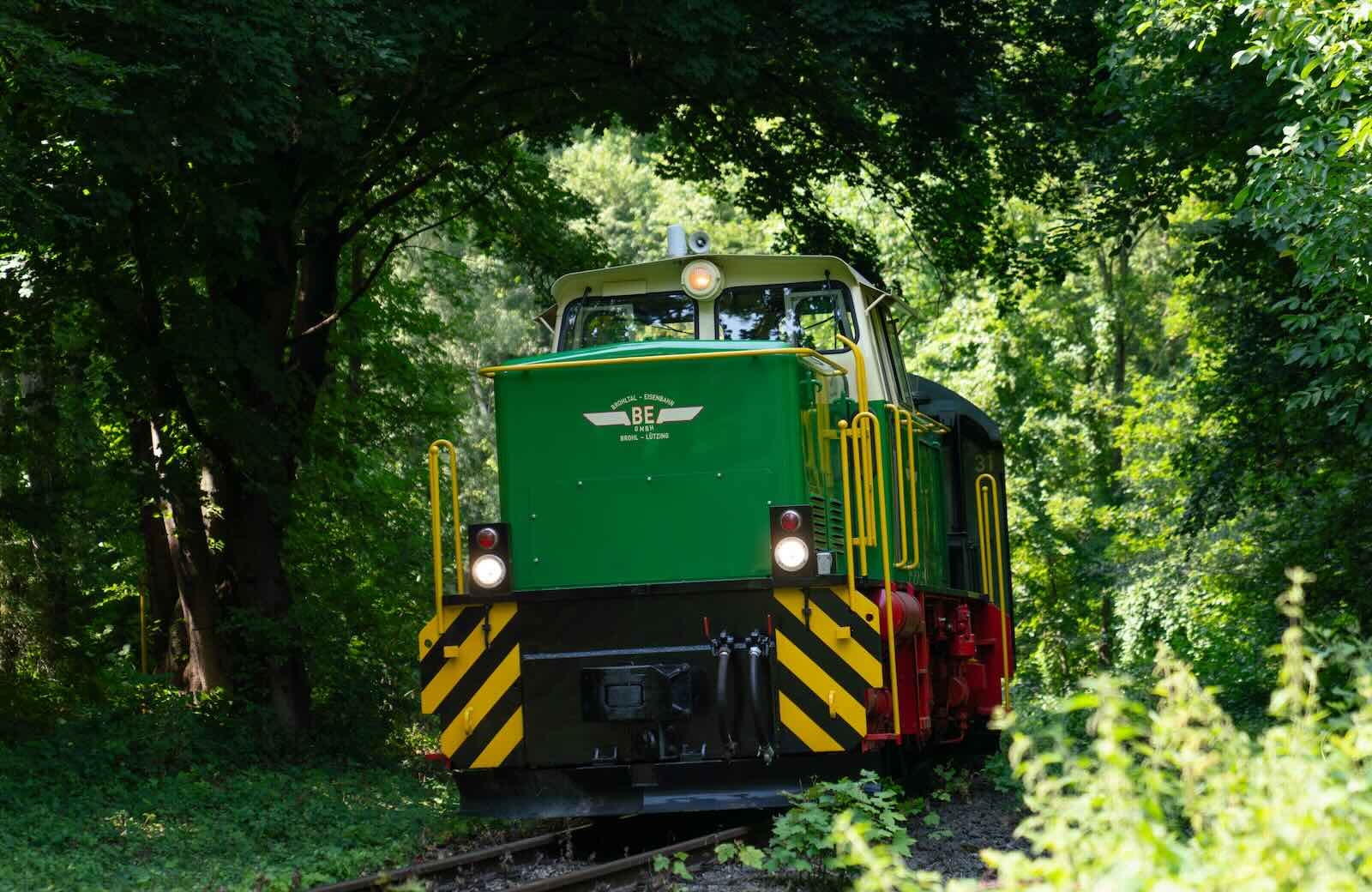 Green diesel locomotive on a track in the middle of the woods.