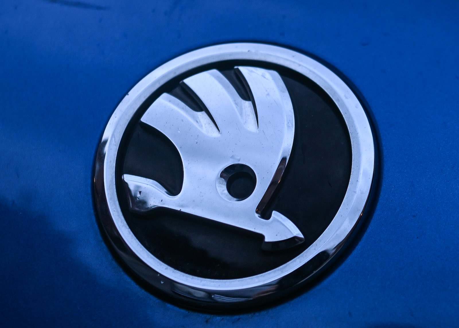 The chrome Skoda logo on the hood of a blue car.