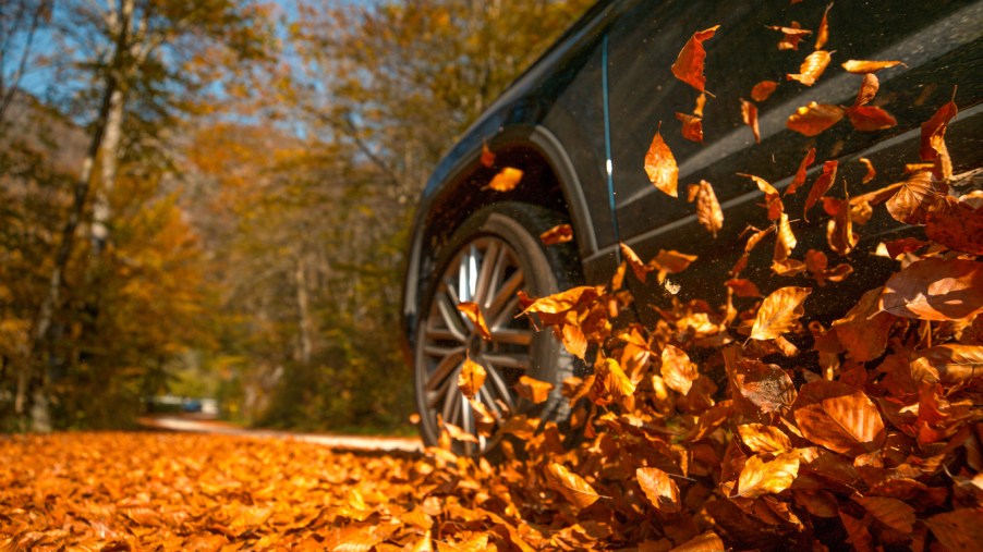 Leaves in the wind around car tires
