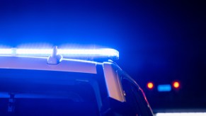 Police lights on a squad car at night