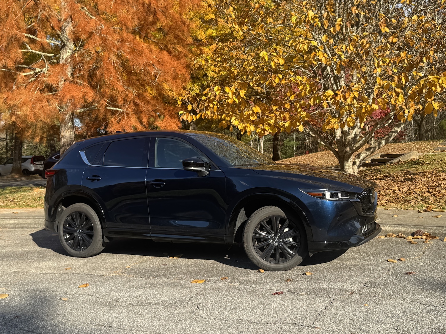 The 2025 Mazda CX-5 near foliage