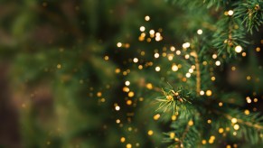 A green Christmas tree branch decked out in gold ornaments.