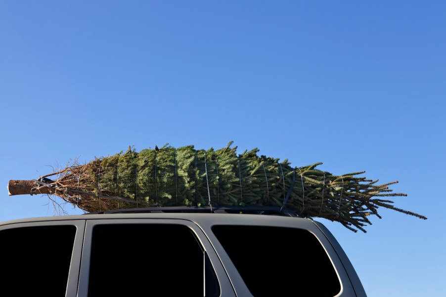 Green Christmas tree tied to an SUV's roof rack.