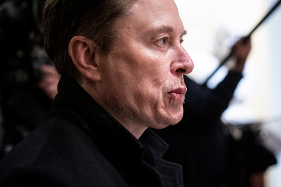 Tesla CEO Elon Musk at the White House