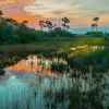 Sunset over the Florida Everglades swamp