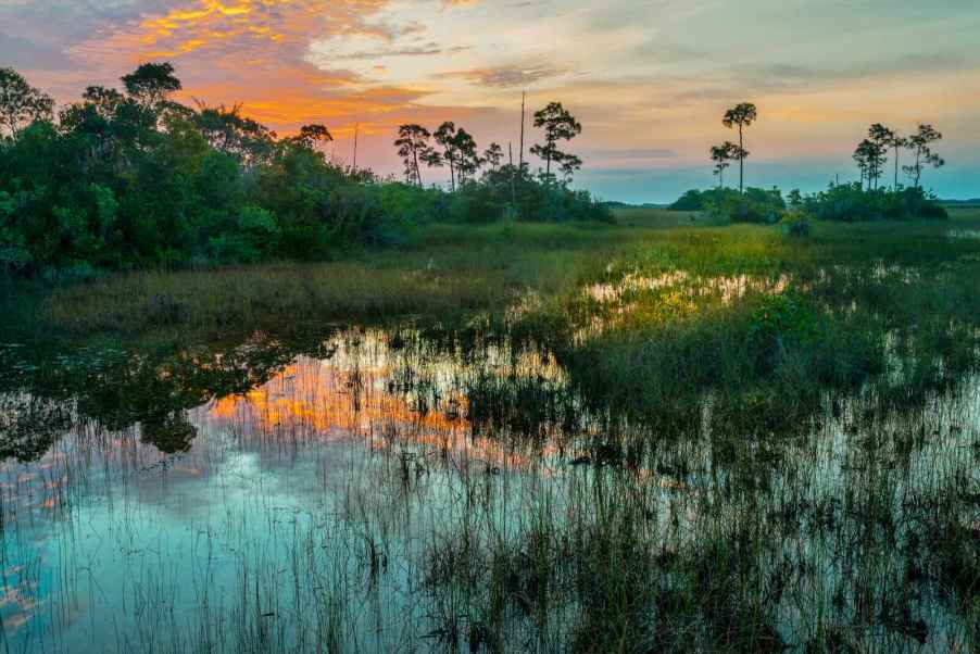 Sunset over the Florida Everglades swamp