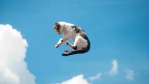 House cat flying through the blue sky, clouds visible in the background.