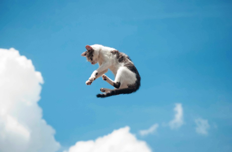 House cat flying through the blue sky, clouds visible in the background.