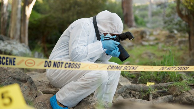 A forensic photographer in the woods