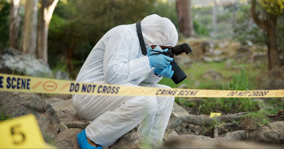 A forensic photographer in the woods