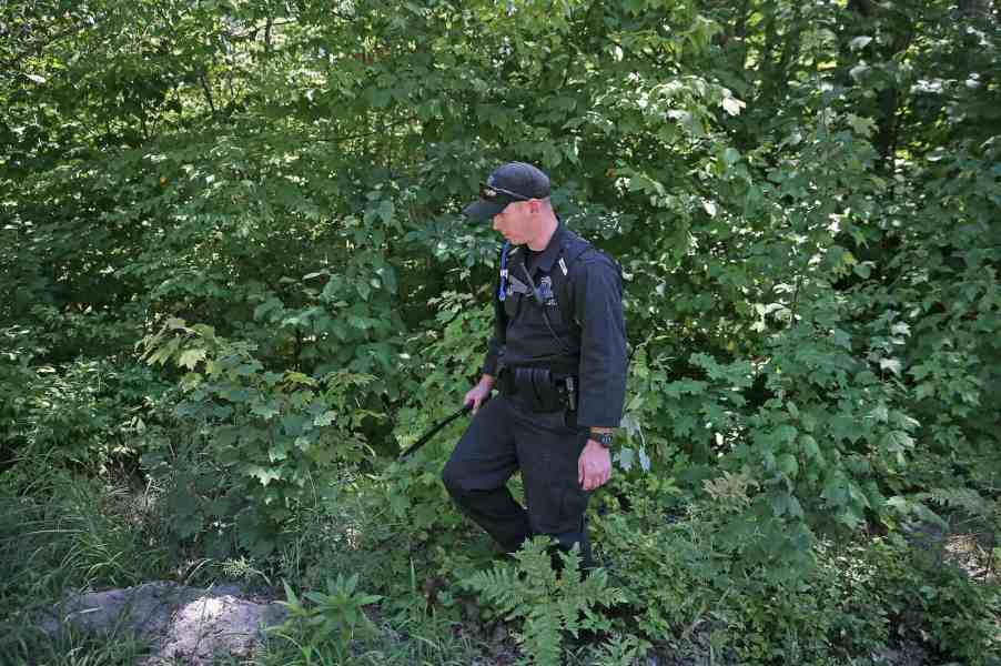 Sheriff's police deputy searches for stolen cars in Washington woods near Seattle