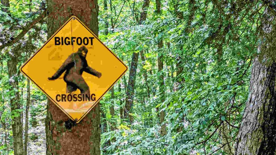 Bigfoot Crossing sign nailed to a tree
