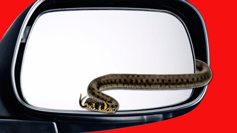 snake-side-view-mirror