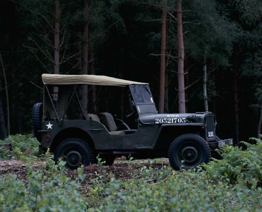 A 1943 Willys Jeep parked in the woods in right profile view