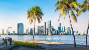 Florida driver under palm trees in front of the Miami skyline