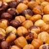 hazelnuts-stuffed-in-car