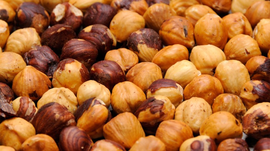 hazelnuts-stuffed-in-car