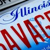 illinois-license-plates