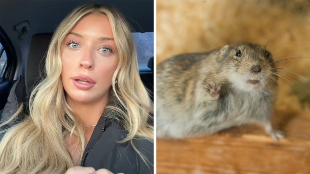 blonde woman with clear eyes looking shocked(l) a tiny mouse with hands up(r)