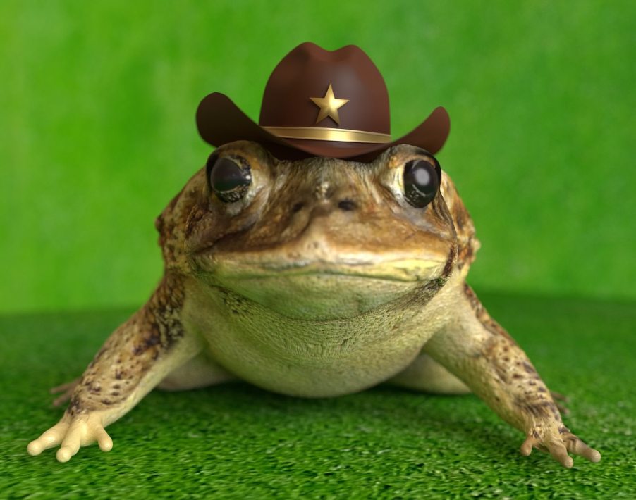 Frog on a green background wear's a hat with a sheriff police officer star