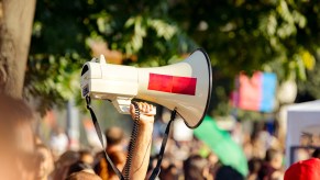 A gourd of people at a protest