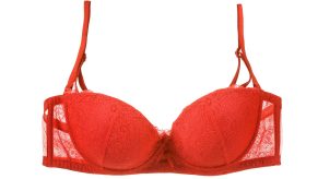 Red lace bra on a white background.