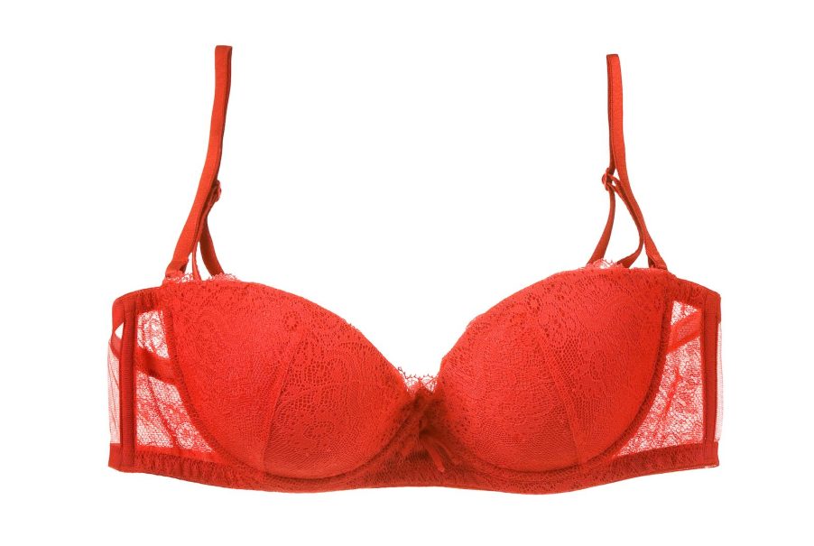 Red lace bra on a white background.