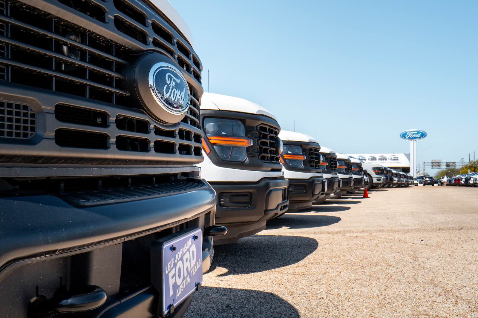 Row of Ford pickup trucks for sale at a dealership.