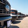 Row of Ford pickup trucks for sale at a dealership.