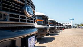 Row of Ford pickup trucks for sale at a dealership.