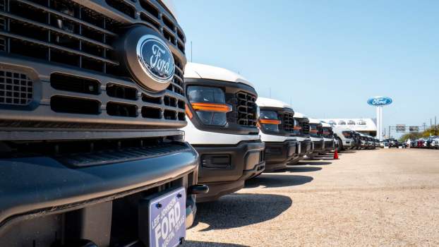 Row of Ford pickup trucks for sale at a dealership.