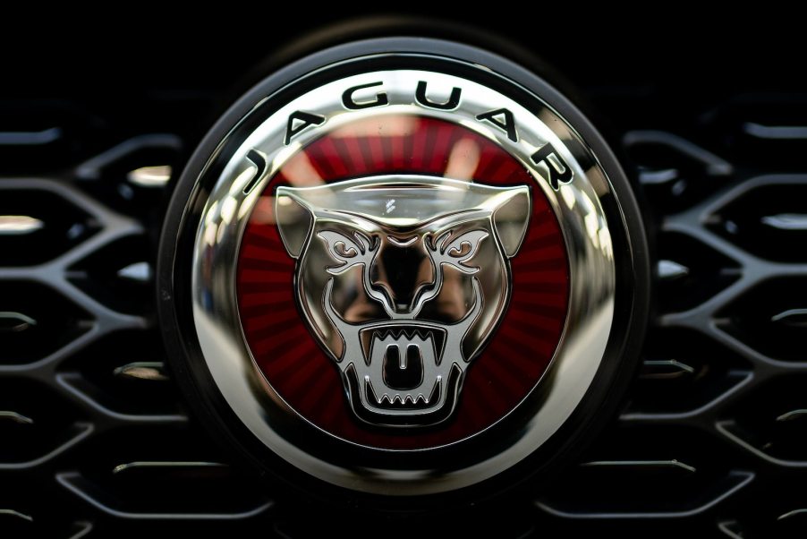 The cat face and logo on a Jaguar luxury car