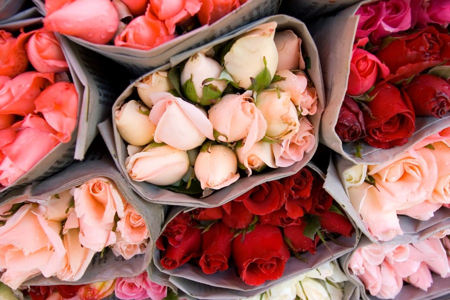 A shipment of roses