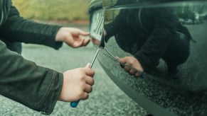 South Carolina woman removes license plate from car's back bumper