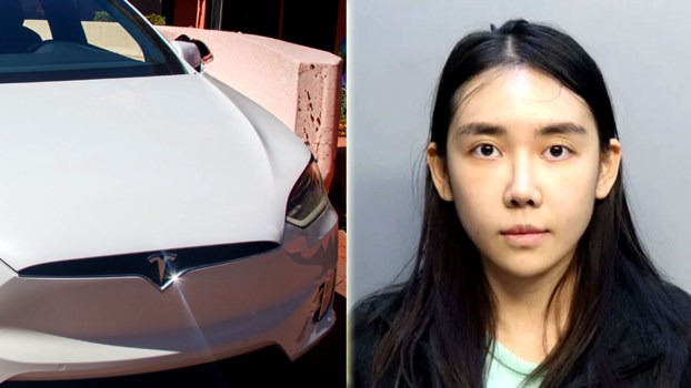 Woman-Arrested-Florida-Chinese-Crime-Organization