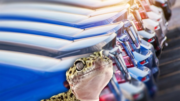 car-dealer-lizard-person