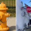 car-levitating-on-water-after-hitting-fire-hydrant