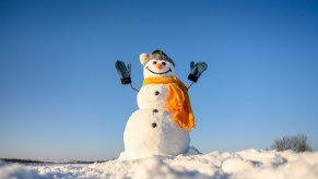 A snowman in a field