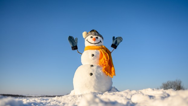A snowman in a field