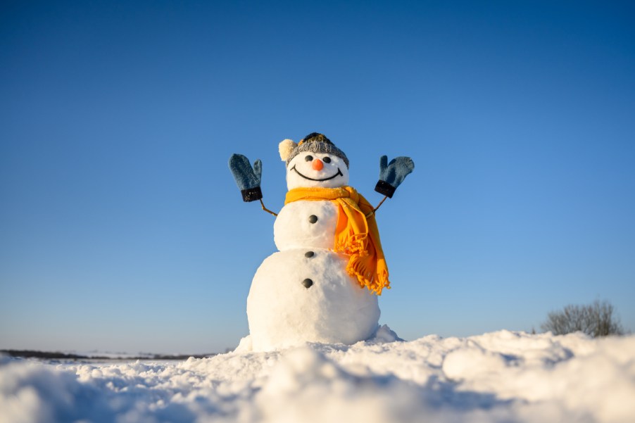 A snowman in a field