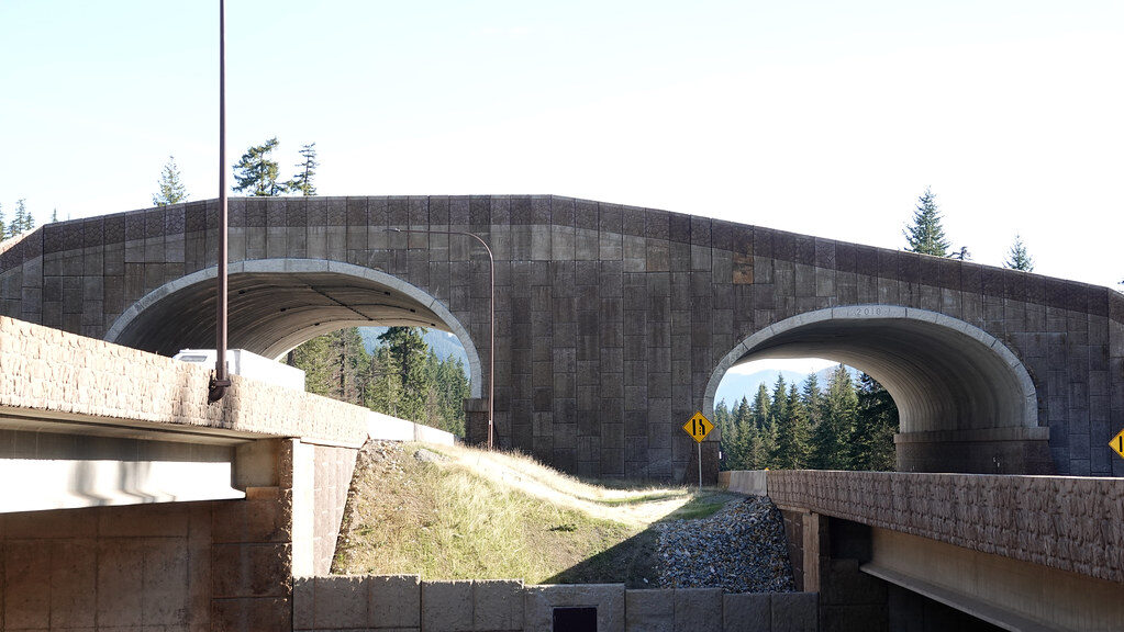 bridge