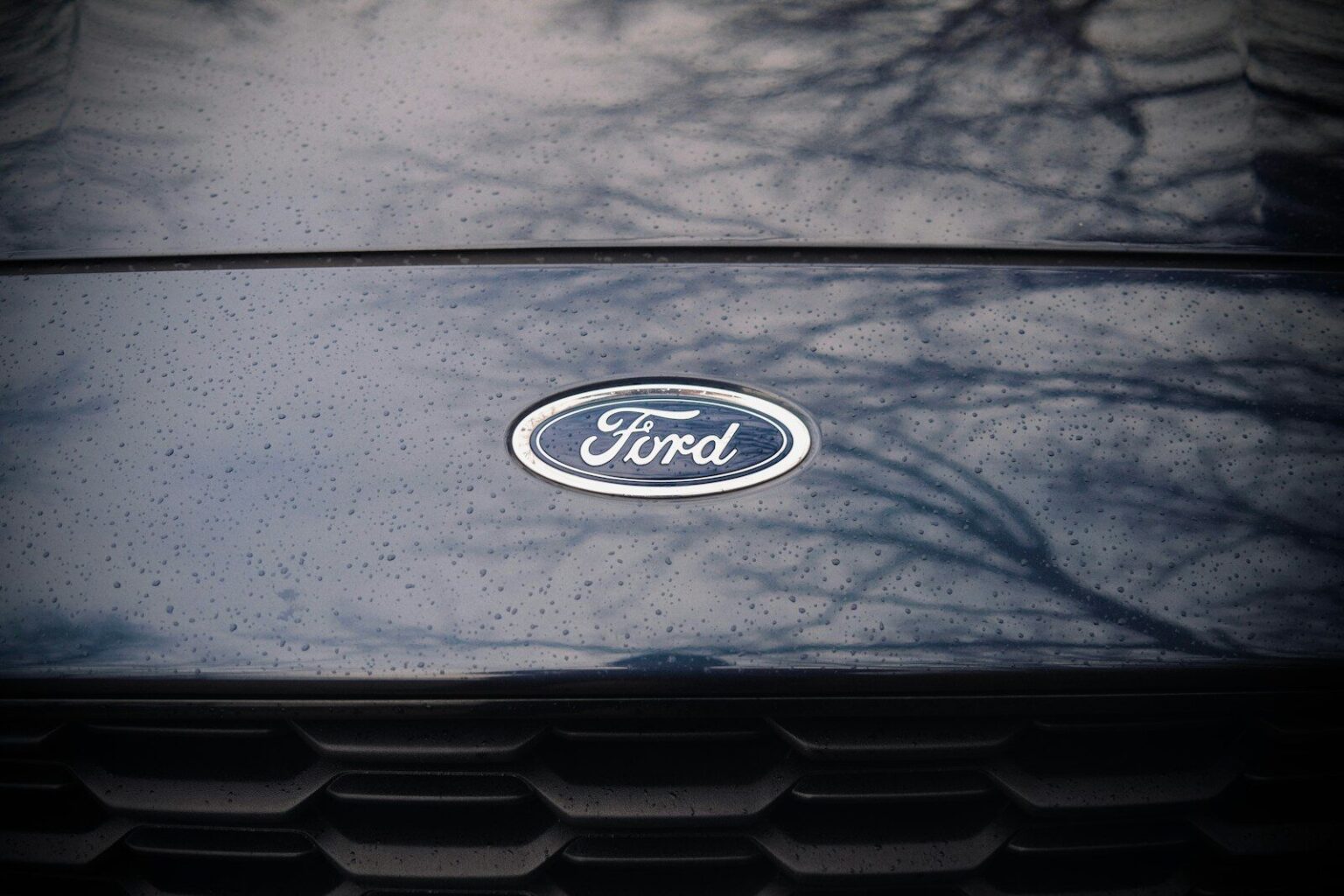 a close up of a ford emblem on a car